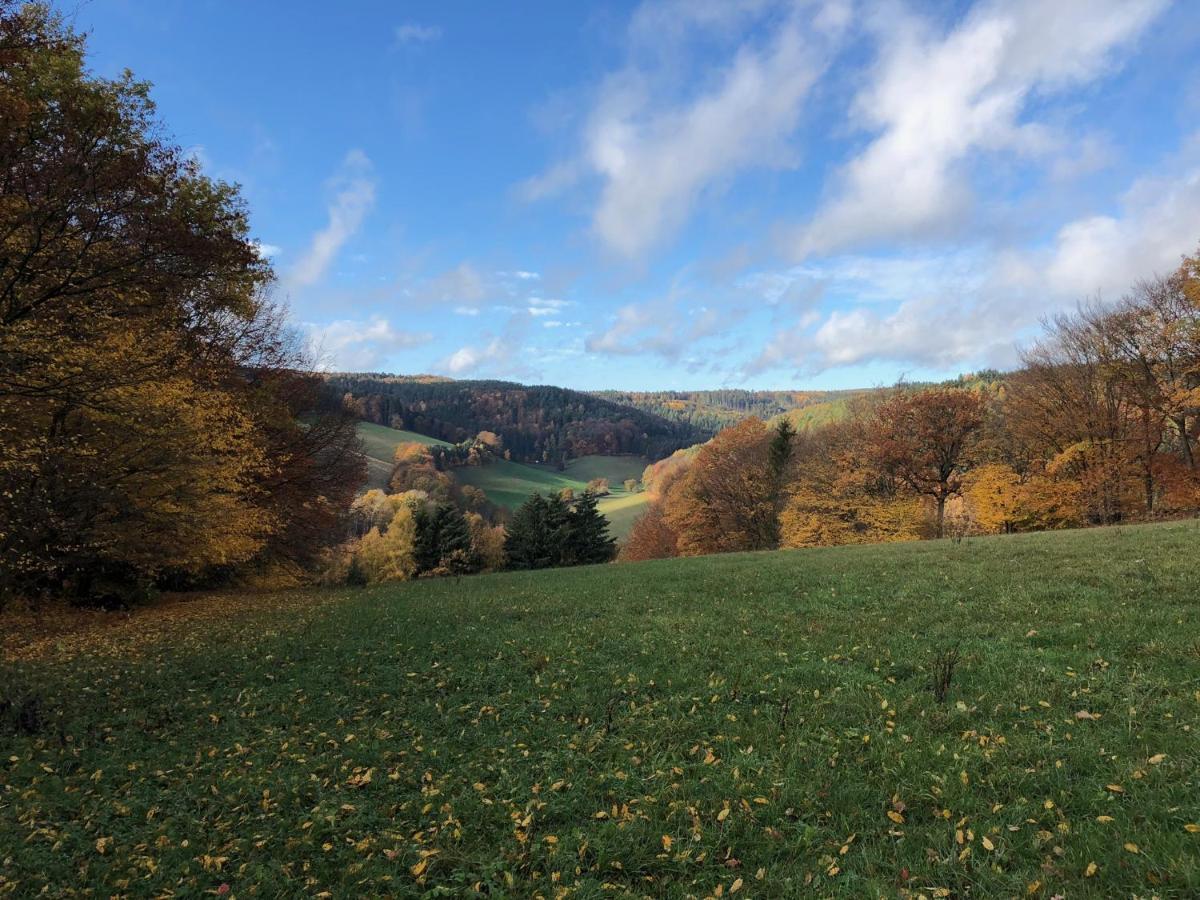 Burg Freienstein Blick 4 Sterne Mit Sauna Gammelsbach 外观 照片