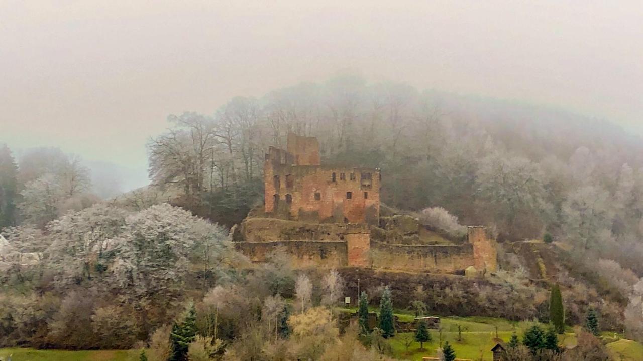 Burg Freienstein Blick 4 Sterne Mit Sauna Gammelsbach 外观 照片