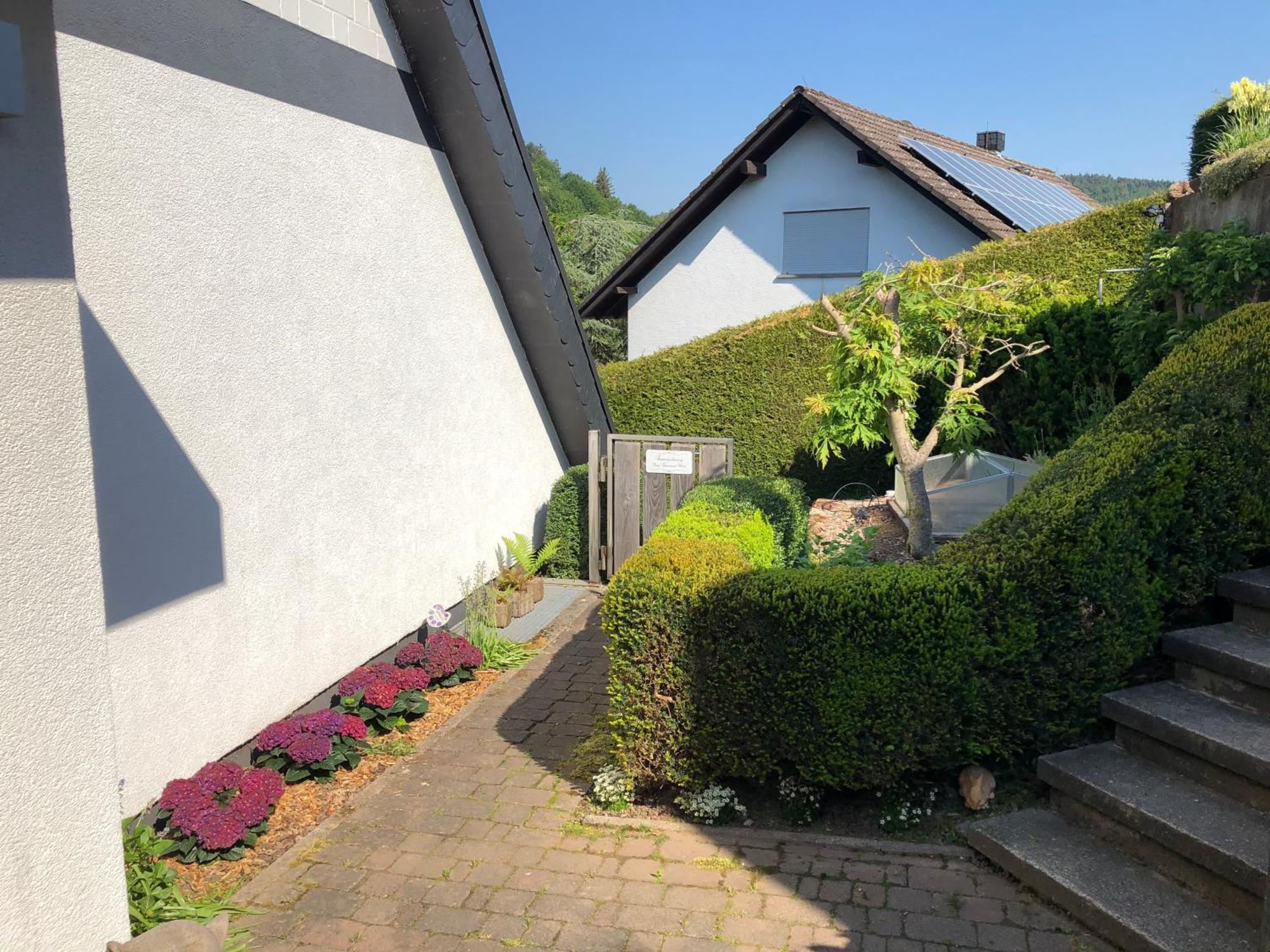 Burg Freienstein Blick 4 Sterne Mit Sauna Gammelsbach 外观 照片